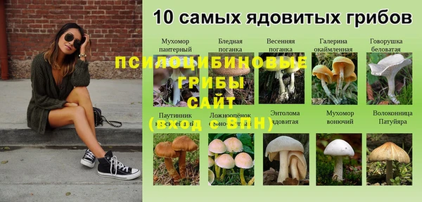 ПСИЛОЦИБИНОВЫЕ ГРИБЫ Алзамай